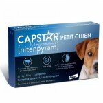 capstar-114-mg-comprimes-pour-petit-chien